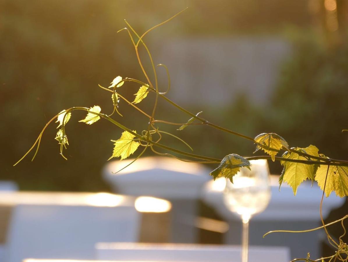 Bed & Breakfast Bloemenzee Boutique 4*